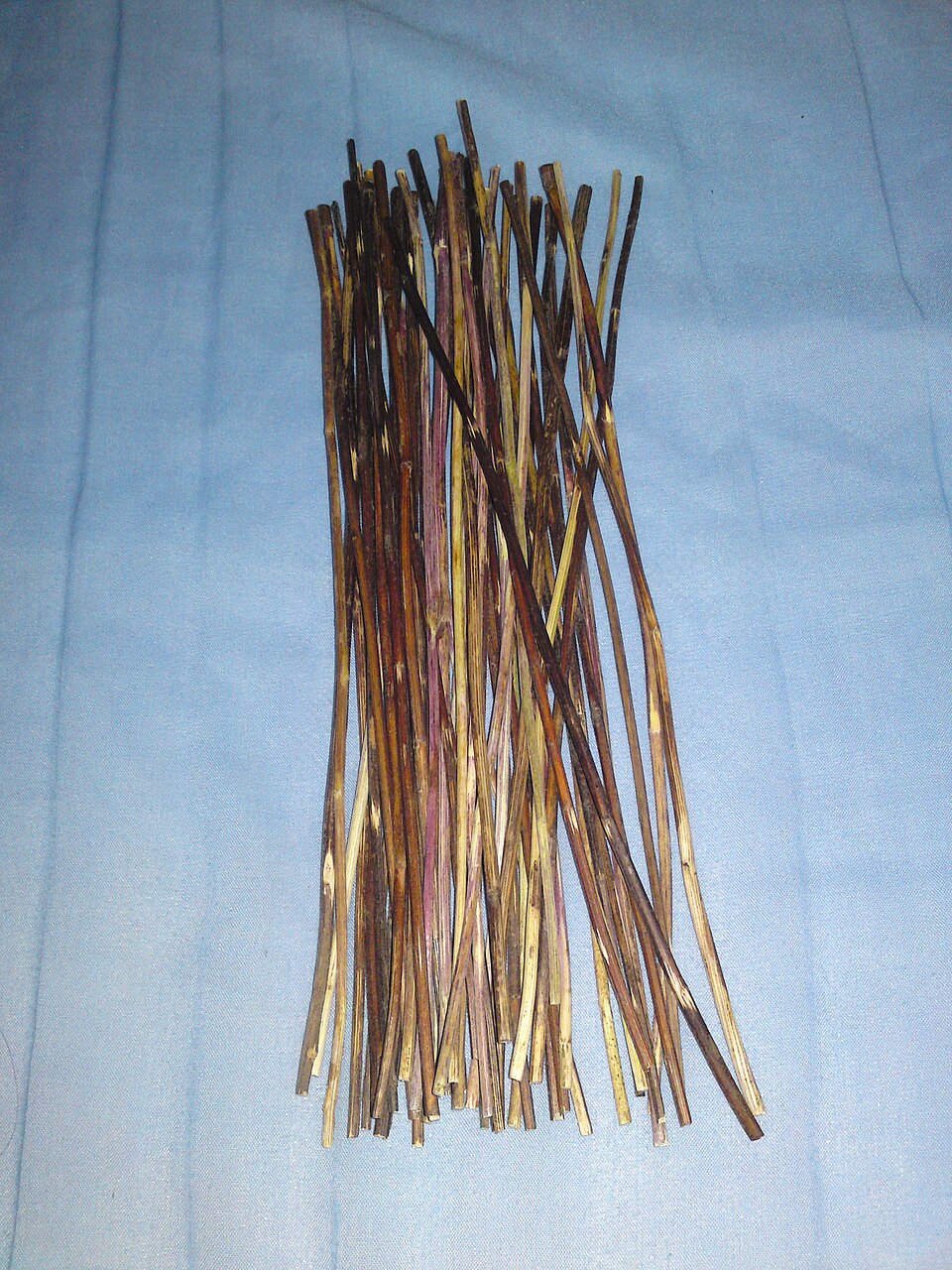 Bundle of 50 yarrow stalks for I Ching