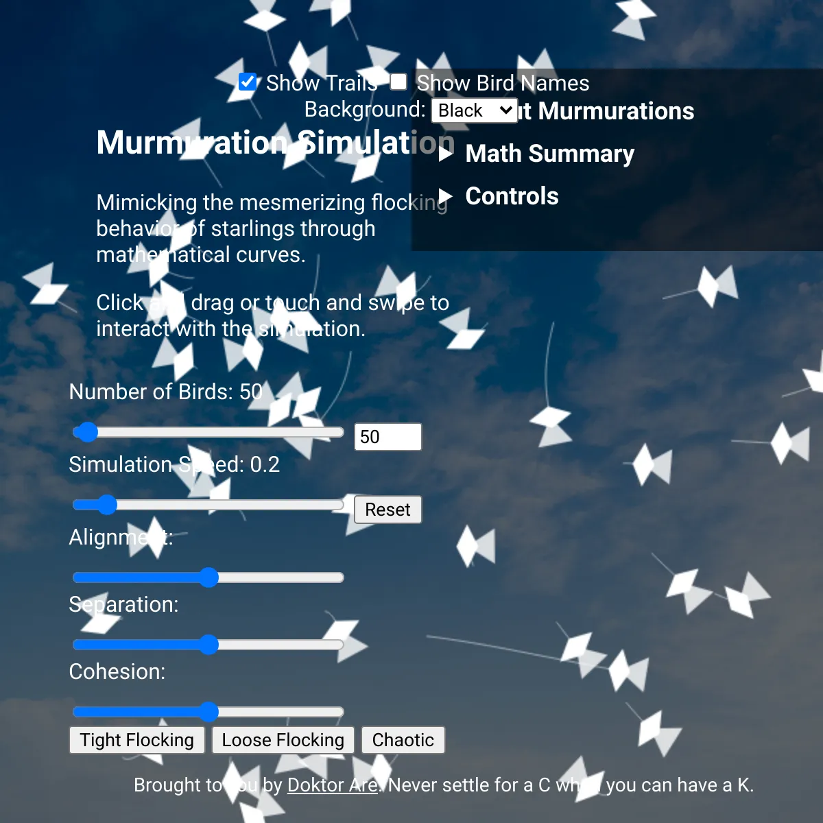 Murmuration Simulation