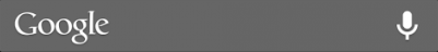 Google Search